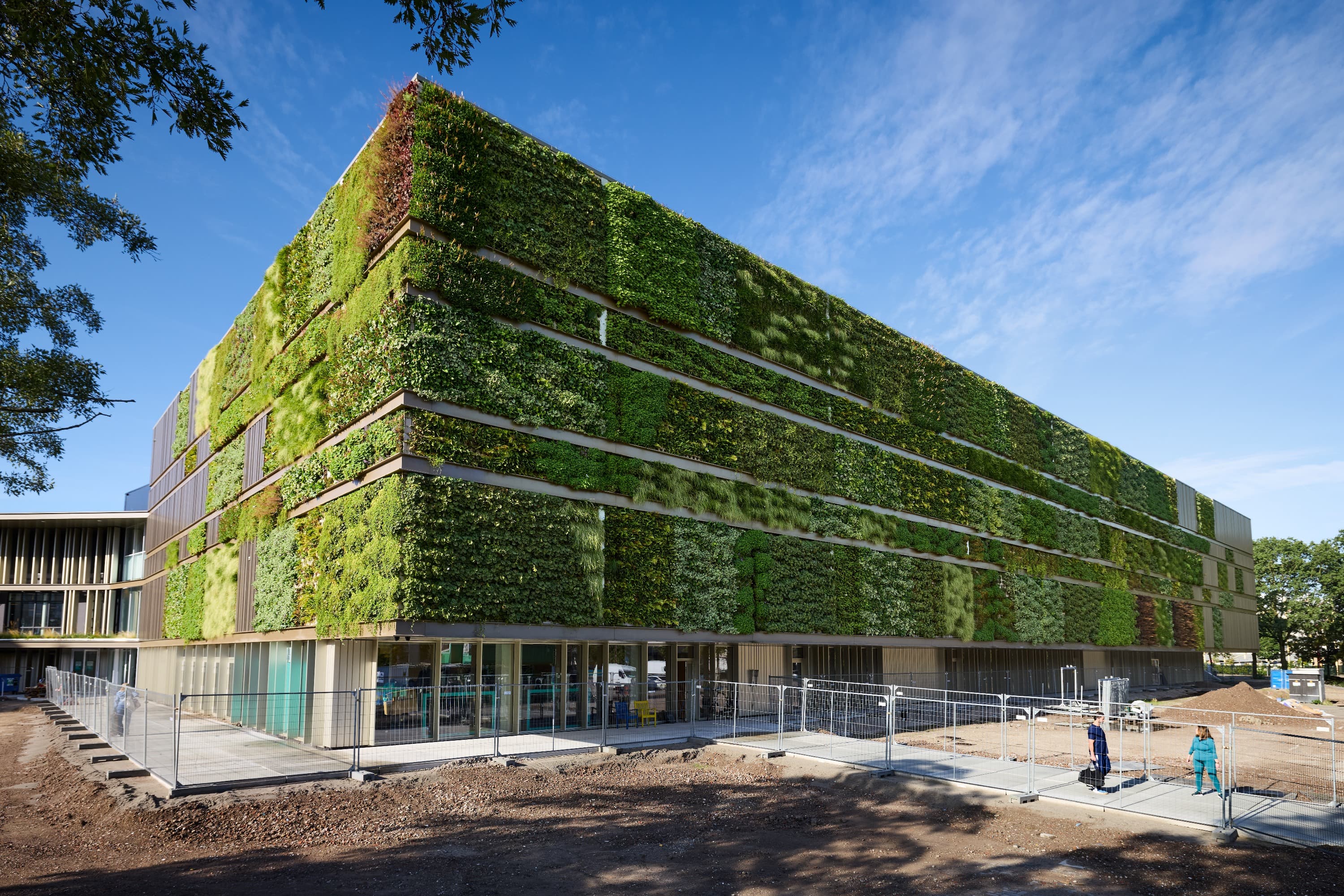 Voorkant gebouw met groene gevel